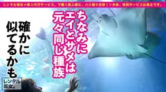 【どストライク！理想カノジョ】美少女イ●スタグラマーを彼女としてレンタル！口説き落として本来禁止のエロ行為までヤリまくった一部始終を完全REC！！水族館&展望台デートを楽しんだ後は、ホテルで恋人SEX！！スレンダーBODYにFカップ巨乳&ぷりんぷりんエロ尻を搭載した完璧カノジョ！！ボーイッシュなショートカット娘が、エロスイッチ入ると生チン欲しがりスケベ娘に豹変します！！の7番目のサンプル画像