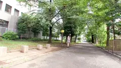 お金欲しさに軽い気持ちで臨んだパパ活。女子大生ののか case.9 有加里ののかのサムネイル画像