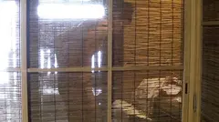 艶熟女 温泉慕情 #018の13番目のサンプル画像