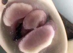 ベロチュウMAX 01の14番目のサンプル画像