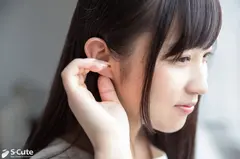 noaのサムネイル画像