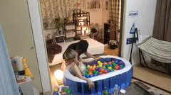 百戦錬磨のナンパ師のヤリ部屋で、連れ込みSEX隠し撮り 215 全身タトゥーのギャルとマッチングアプリでお誘い成功！サバサバしてそうなのにSEXになるとキスやハグをせがむ胸キュンギャップ！中イキしまくる敏感マ●コに興奮必至！のサムネイル画像