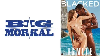 【VIXEN】Black～黒き巨根の誘惑に負けた美女のセックスオンザビーチ～のサムネイル画像