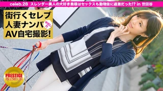 街行くセレブ人妻をナンパしてAV自宅撮影！⇒中出し性交！ celeb.28 スレンダー美人の犬好き奥様はセックスも動物並に過激だった！？ in 世田谷のサムネイル画像