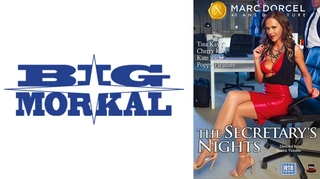 【Marc Dorcel】Working Girls～肉食痴女の美人秘書：ティナ～ ティナ・ケイ ケイト・リッチ チェリー・キスのサムネイル画像