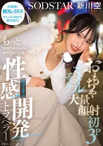 おもちゃ・大量顔射・初3P・オイルエステ もっと気持ち良くなるために初めての一人旅 3泊4日の性感開発トラベラー 新川空 あらかわそらの作品画像